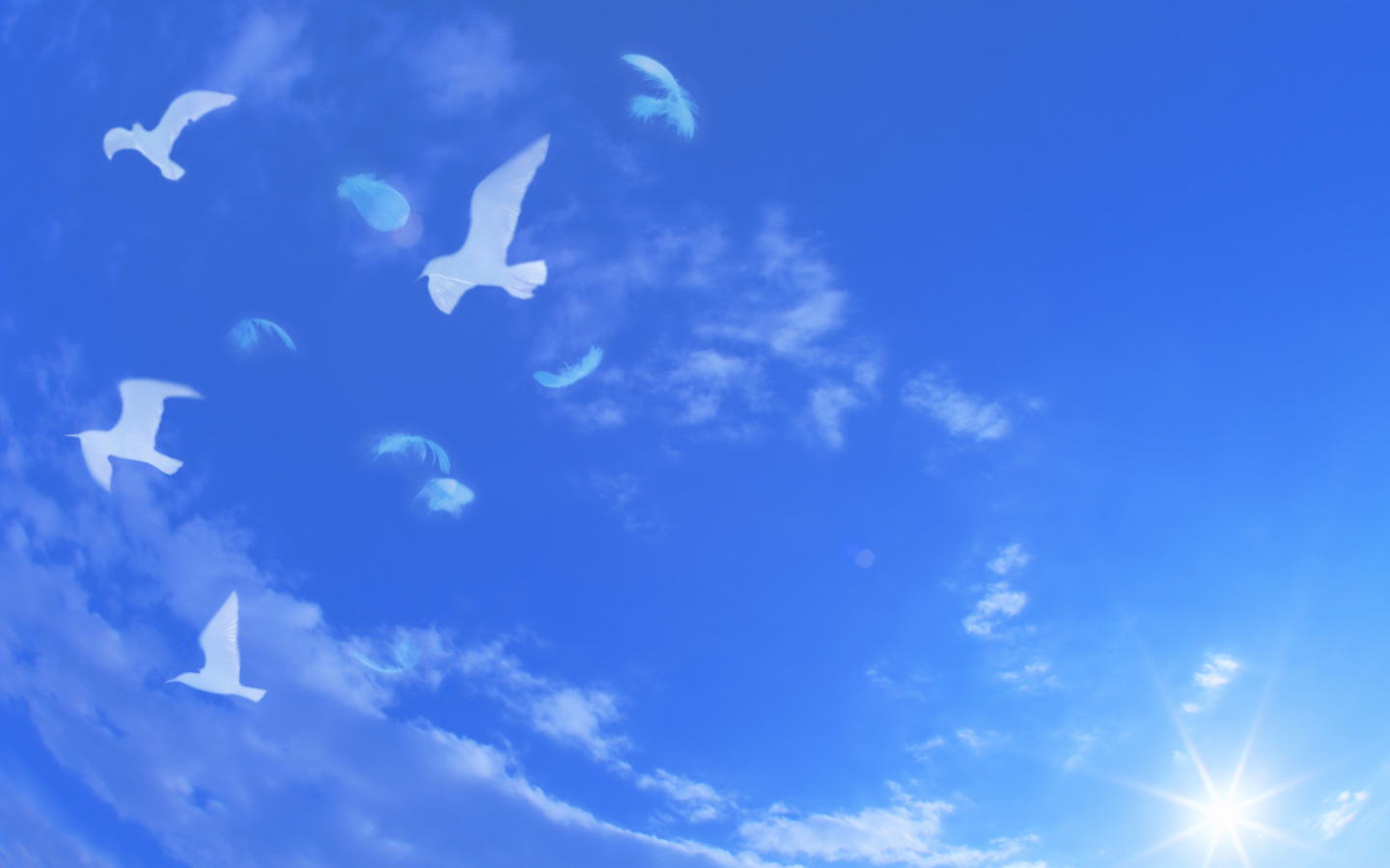 Das White Birds In Blue Skies Wallpaper 1440x900