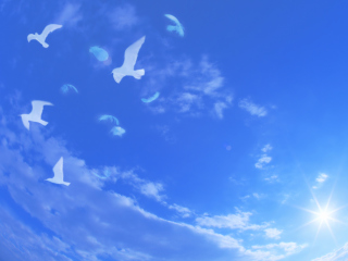 Das White Birds In Blue Skies Wallpaper 320x240