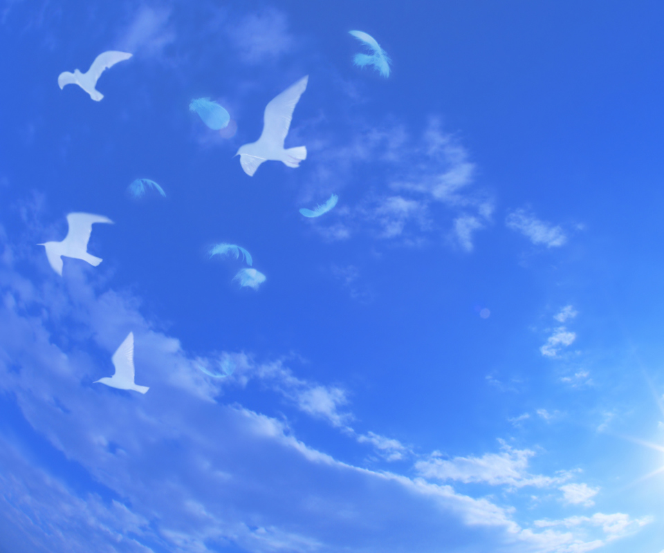 Das White Birds In Blue Skies Wallpaper 960x800