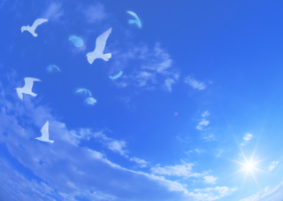 White Birds In Blue Skies Wallpaper for Android, iPhone and iPad