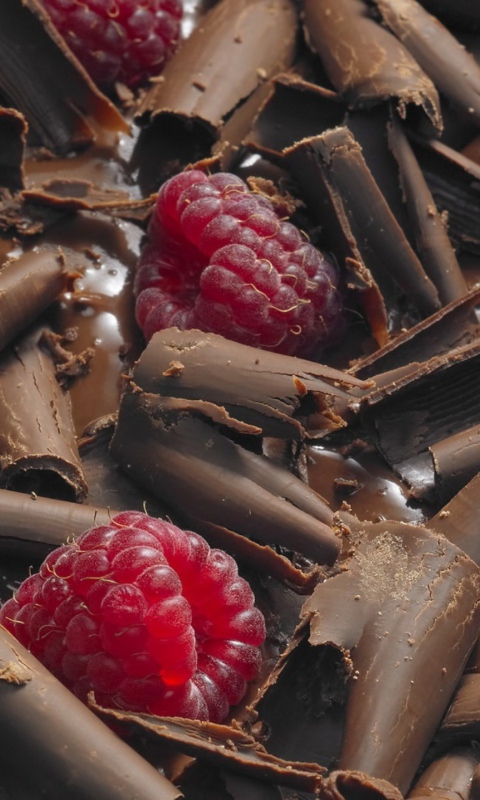 Chocolate Raspberry screenshot #1 480x800