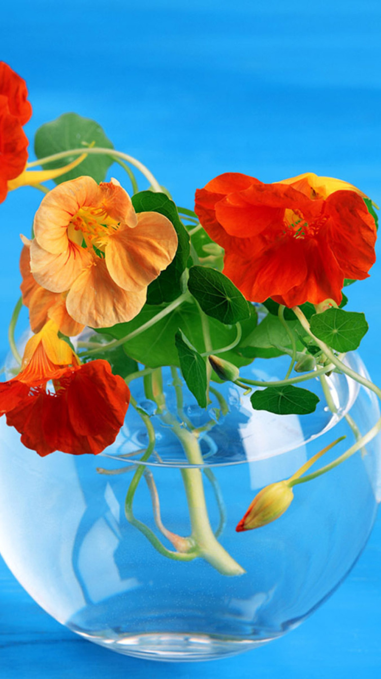 Amazing Bouquet screenshot #1 750x1334