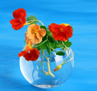Amazing Bouquet sfondi gratuiti per iPad mini