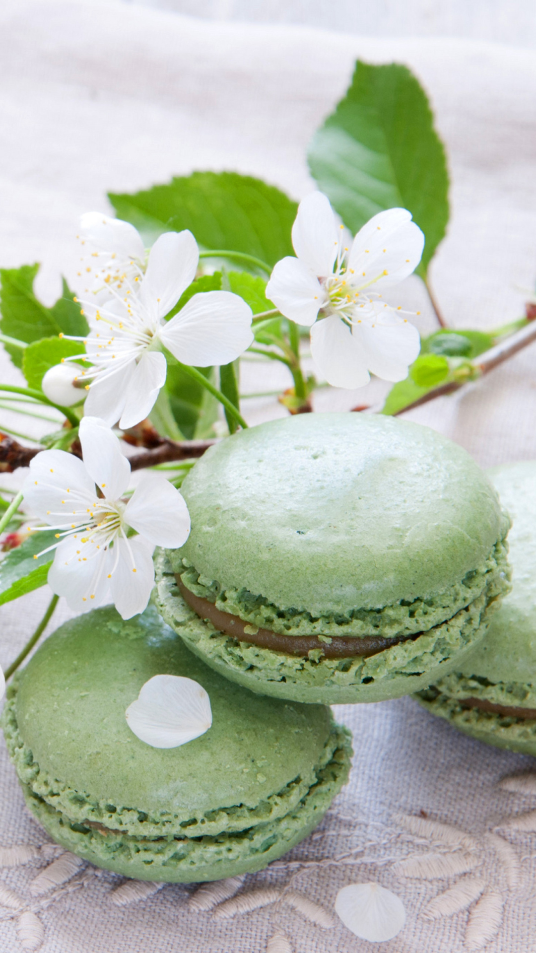 Spring Style French Dessert Macarons wallpaper 1080x1920
