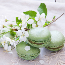 Spring Style French Dessert Macarons wallpaper 128x128
