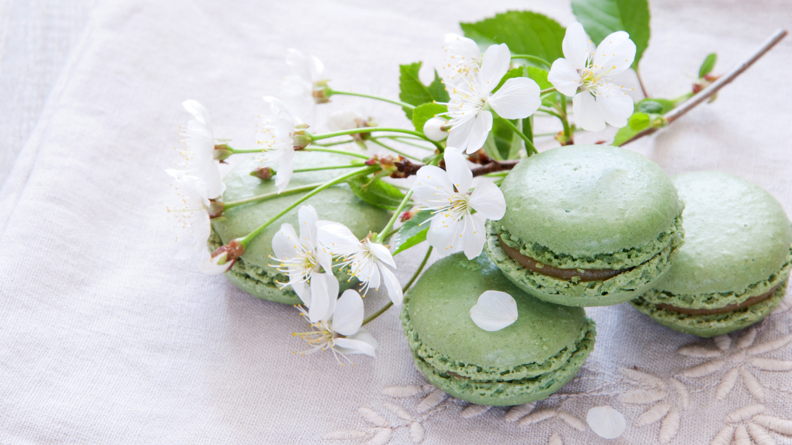 Spring Style French Dessert Macarons wallpaper 1600x900