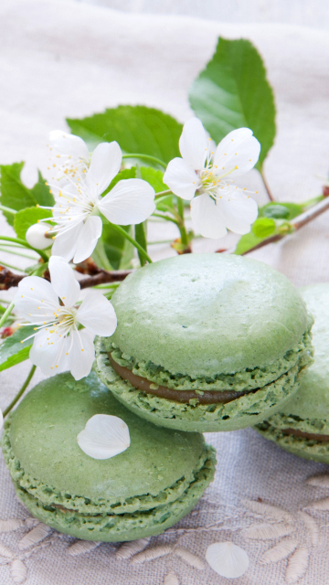 Spring Style French Dessert Macarons wallpaper 360x640