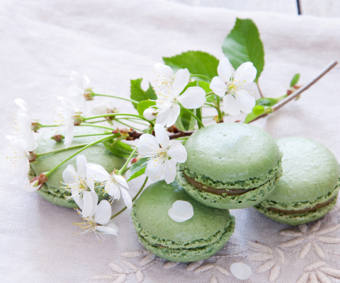 Sfondi Spring Style French Dessert Macarons 480x400