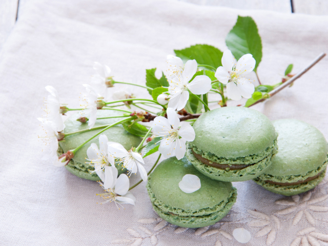 Spring Style French Dessert Macarons wallpaper 640x480