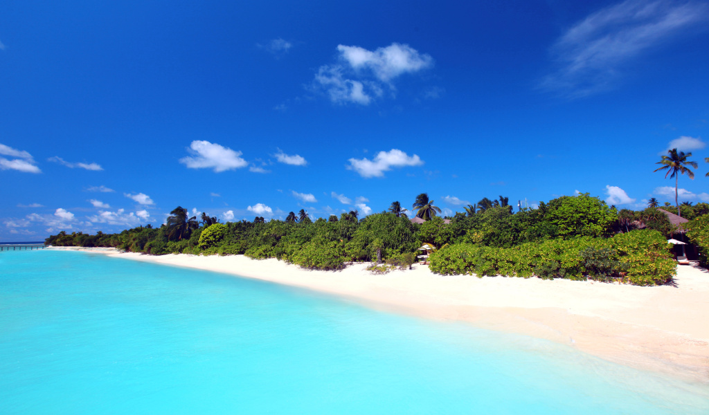 Fondo de pantalla Maldives best white beach Kaafu Atoll 1024x600