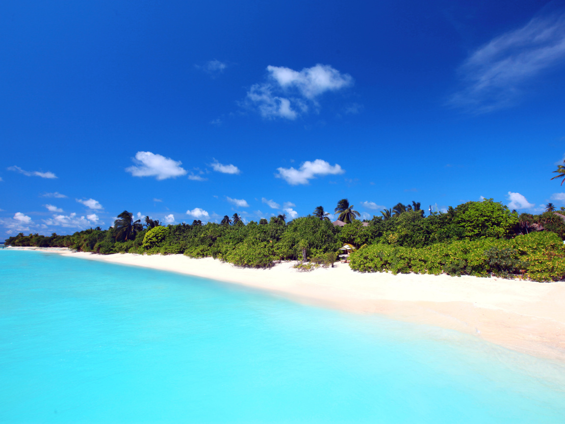 Fondo de pantalla Maldives best white beach Kaafu Atoll 1152x864