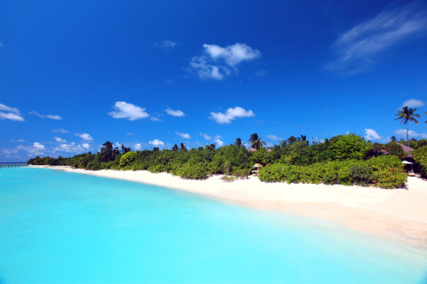 Fondo de pantalla Maldives best white beach Kaafu Atoll 480x320