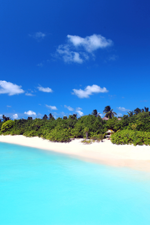 Обои Maldives best white beach Kaafu Atoll 640x960