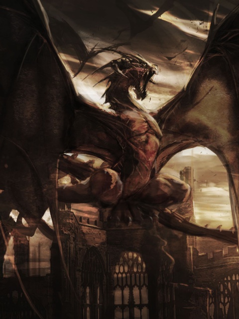 Das Dragon Attack Wallpaper 480x640