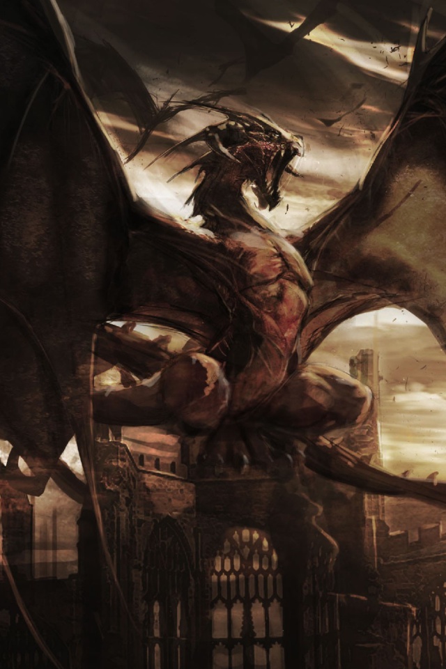 Dragon Attack wallpaper 640x960