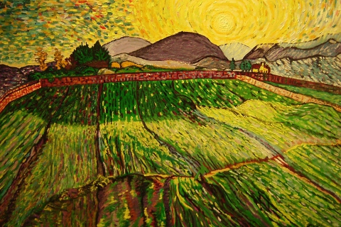 Fondo de pantalla Vincent van Gogh 480x320
