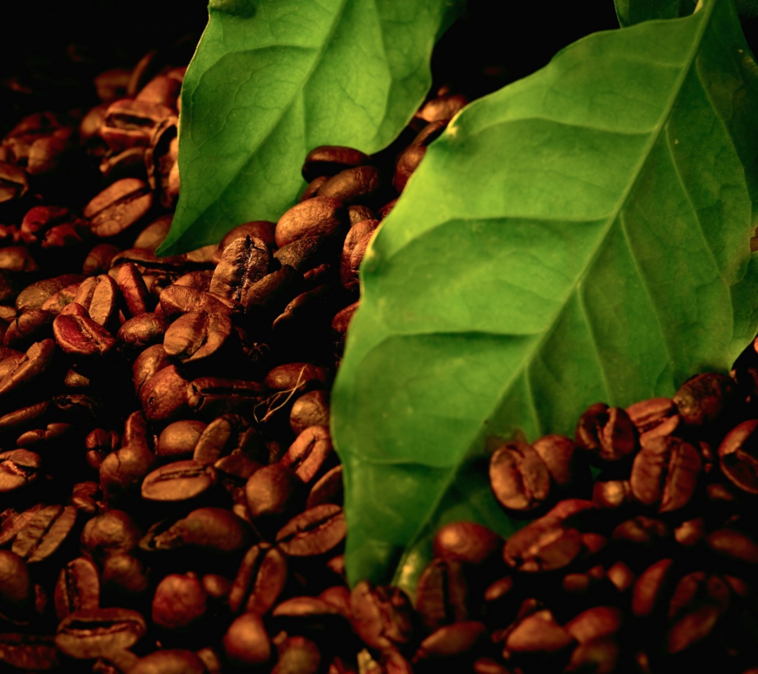 Das Coffee Beans And Green Leaves Wallpaper 1080x960