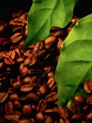 Screenshot №1 pro téma Coffee Beans And Green Leaves 132x176