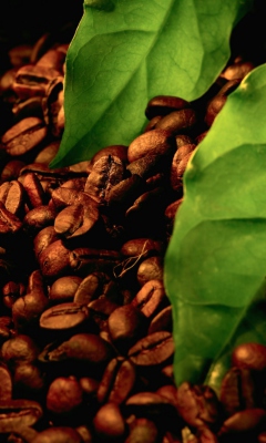 Das Coffee Beans And Green Leaves Wallpaper 240x400