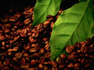 Das Coffee Beans And Green Leaves Wallpaper 320x240
