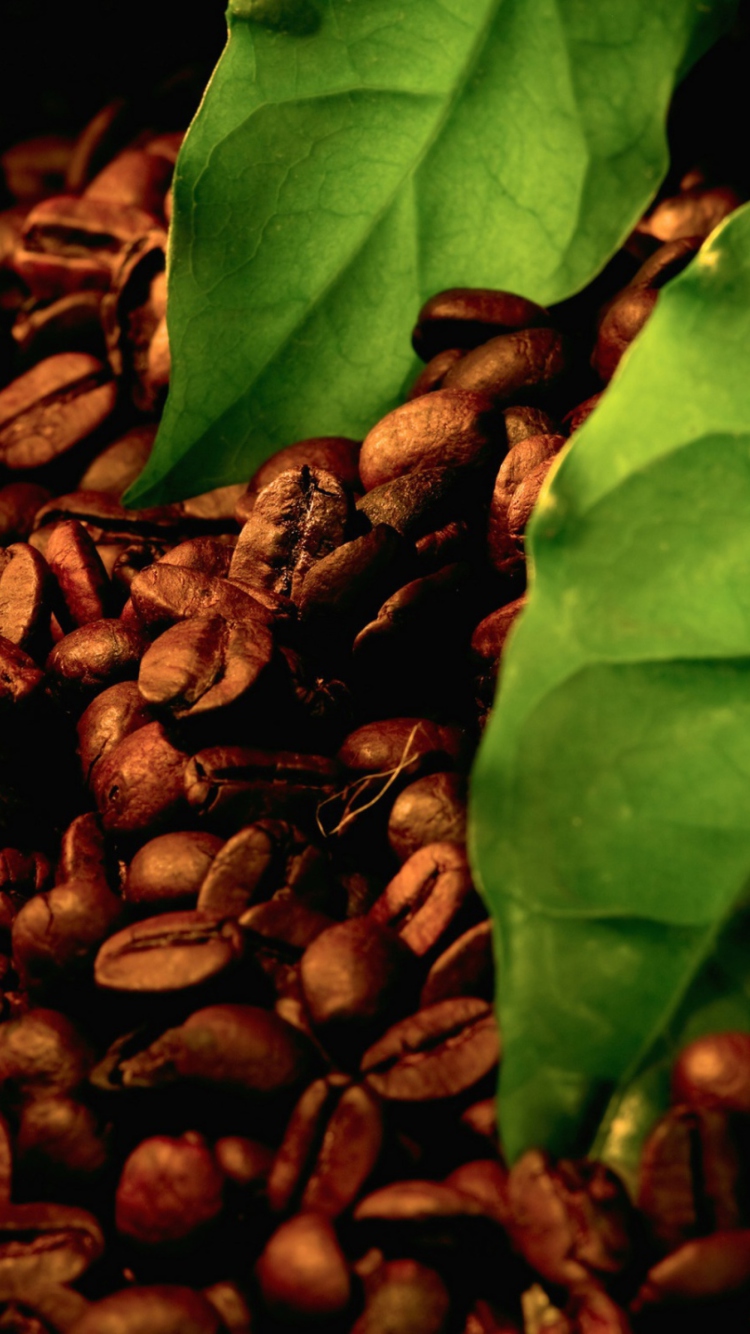 Das Coffee Beans And Green Leaves Wallpaper 750x1334