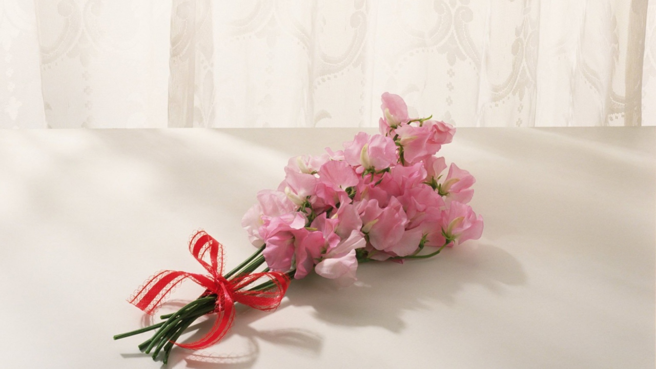 Sfondi Pink Flowers 1280x720