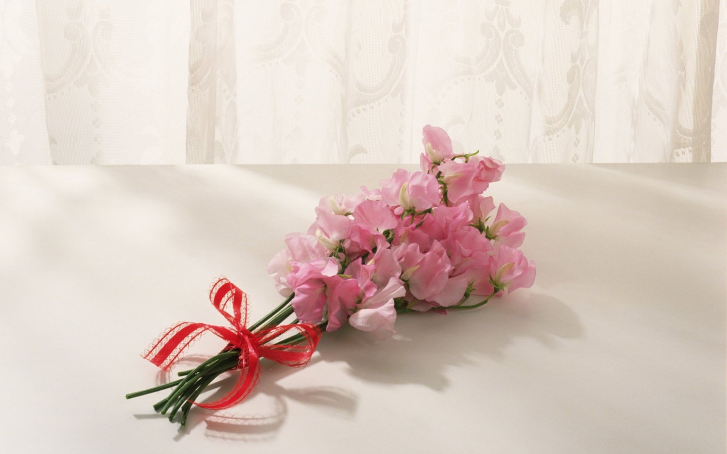 Sfondi Pink Flowers 1440x900