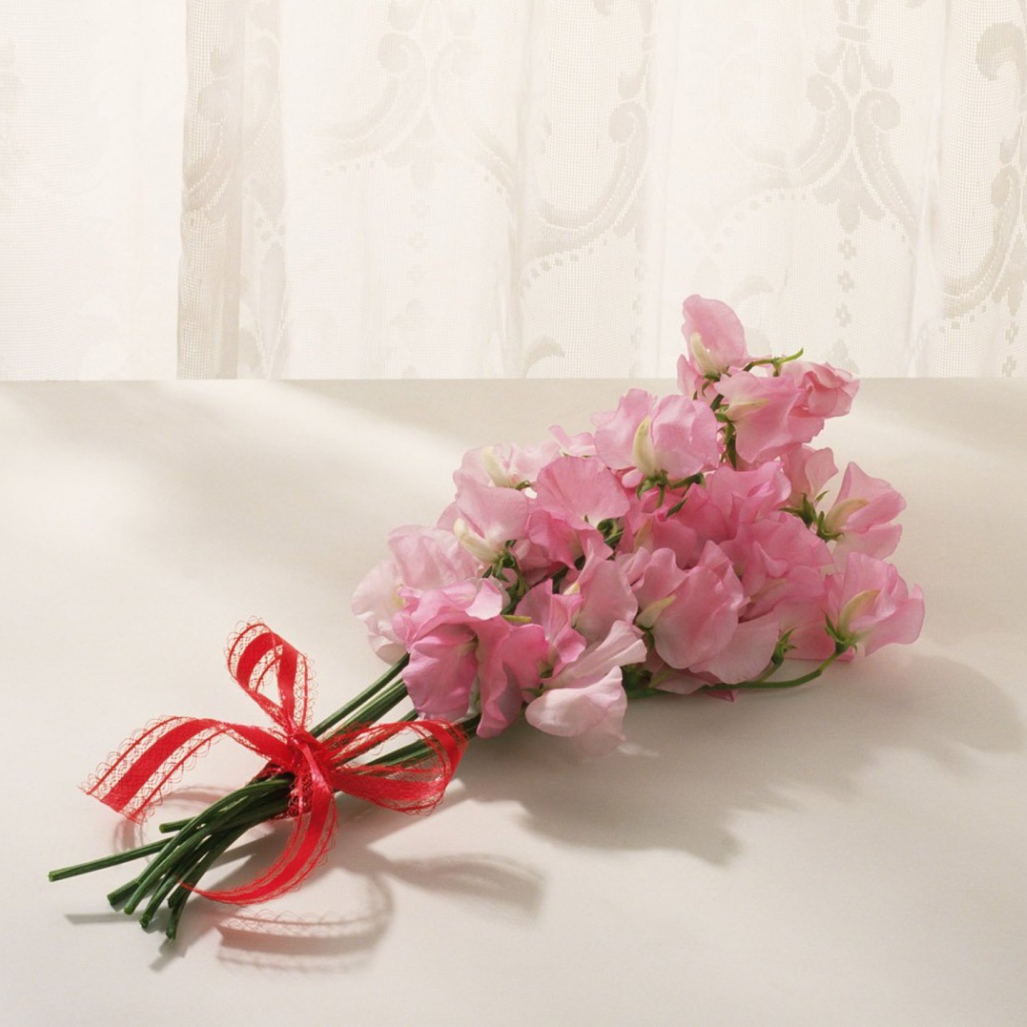 Sfondi Pink Flowers 2048x2048