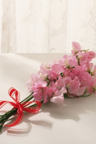 Fondo de pantalla Pink Flowers 320x480
