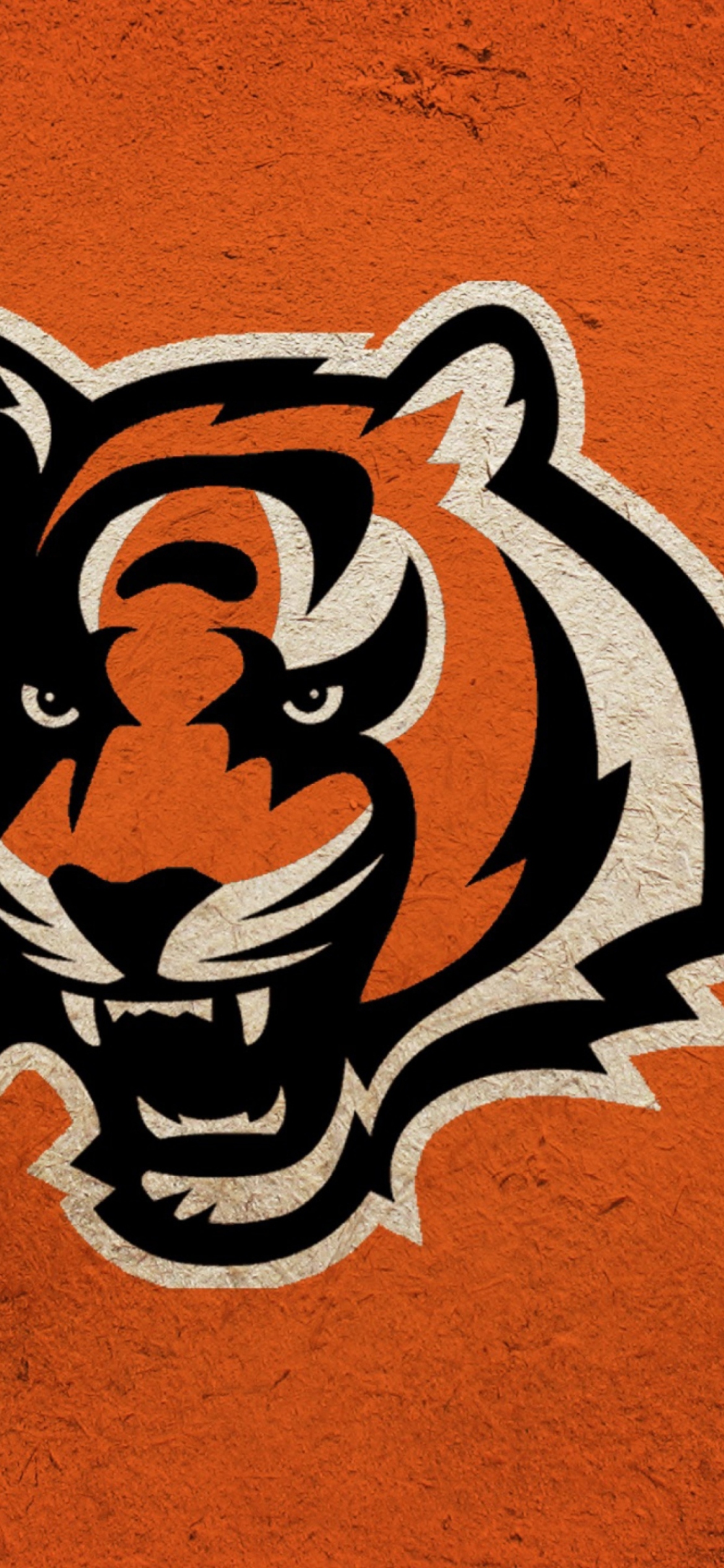 bengals wallpapers for iphoneTikTok Search