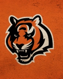 Обои Cincinnati Bengals 128x160