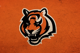 Cincinnati Bengals - Fondos de pantalla gratis para Desktop 1280x720 HDTV