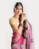 Shriya Saran In Pink Saree screenshot #1 128x160