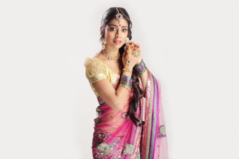 Sfondi Shriya Saran In Pink Saree 480x320