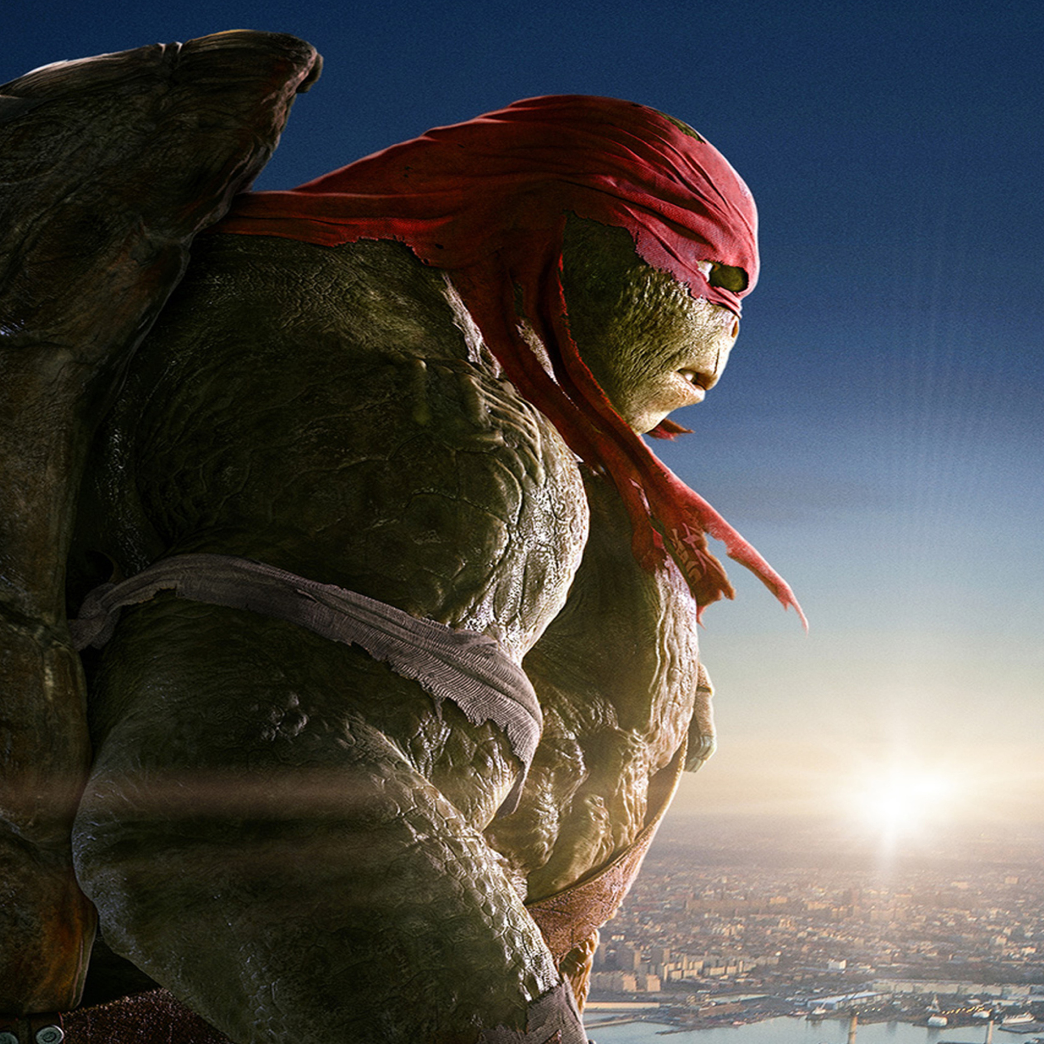 Screenshot №1 pro téma Raphael - TMNT 2048x2048