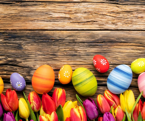 Das Easter bright eggs Wallpaper 480x400