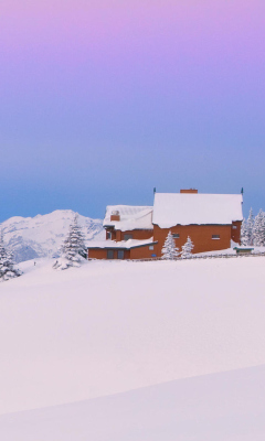 Fondo de pantalla Olympic National Park Washington 240x400