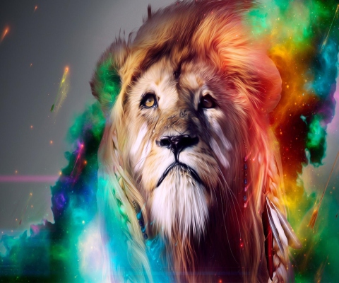 Fondo de pantalla Lion Multicolor 480x400