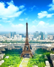 Eiffel Tower wallpaper 176x220