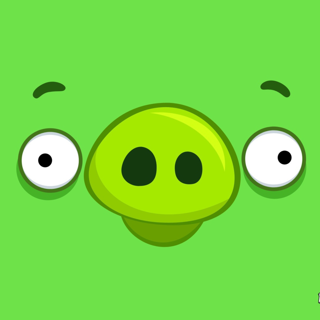 Angry Birds Pig Happy wallpaper 1024x1024