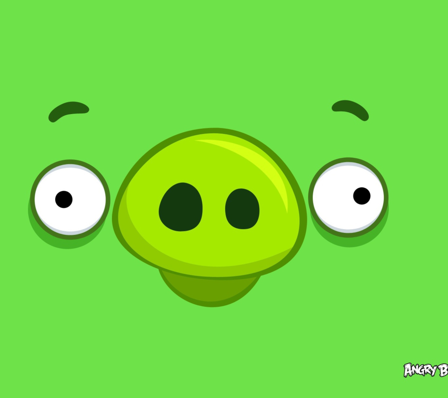 Angry Birds Pig Happy wallpaper 1440x1280
