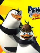 Fondo de pantalla The Penguins of Madagascar 132x176