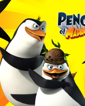 Fondo de pantalla The Penguins of Madagascar 176x220