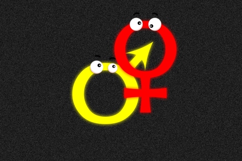 Screenshot №1 pro téma Funny Gender Symbols 480x320