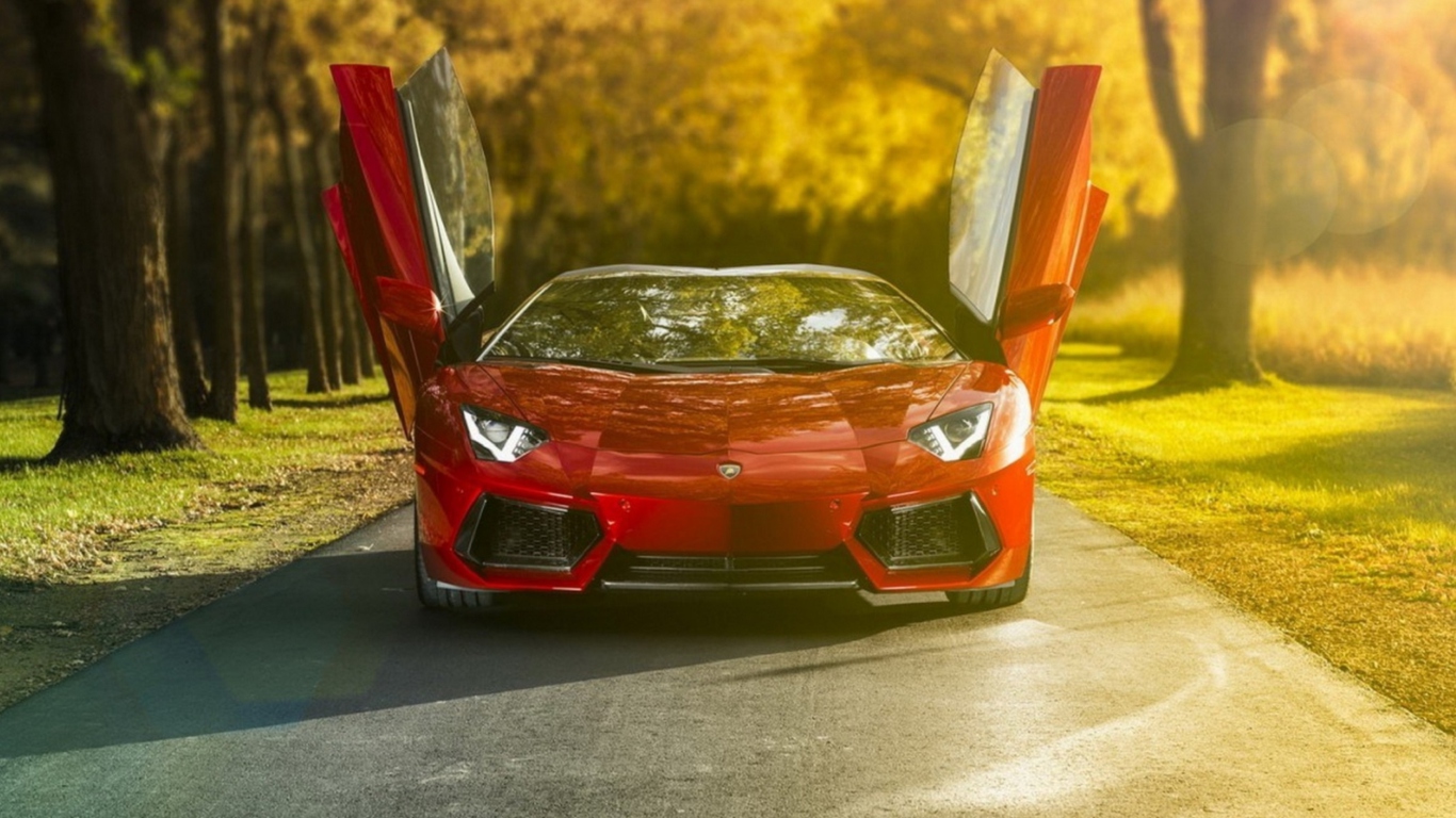 Das Lamborghini Aventador Roadster Wallpaper 1366x768