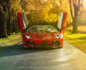 Lamborghini Aventador Roadster screenshot #1 176x144