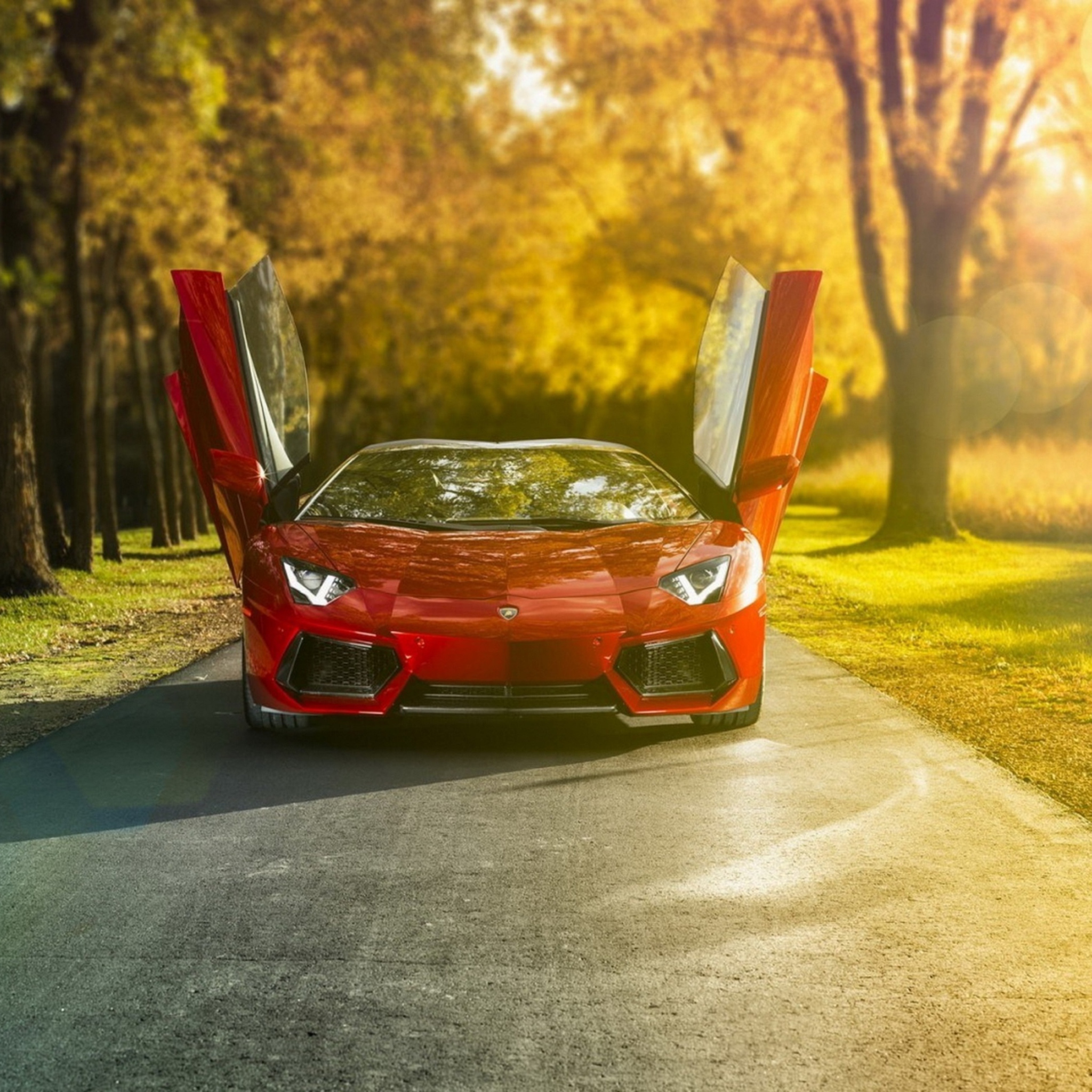 Fondo de pantalla Lamborghini Aventador Roadster 2048x2048