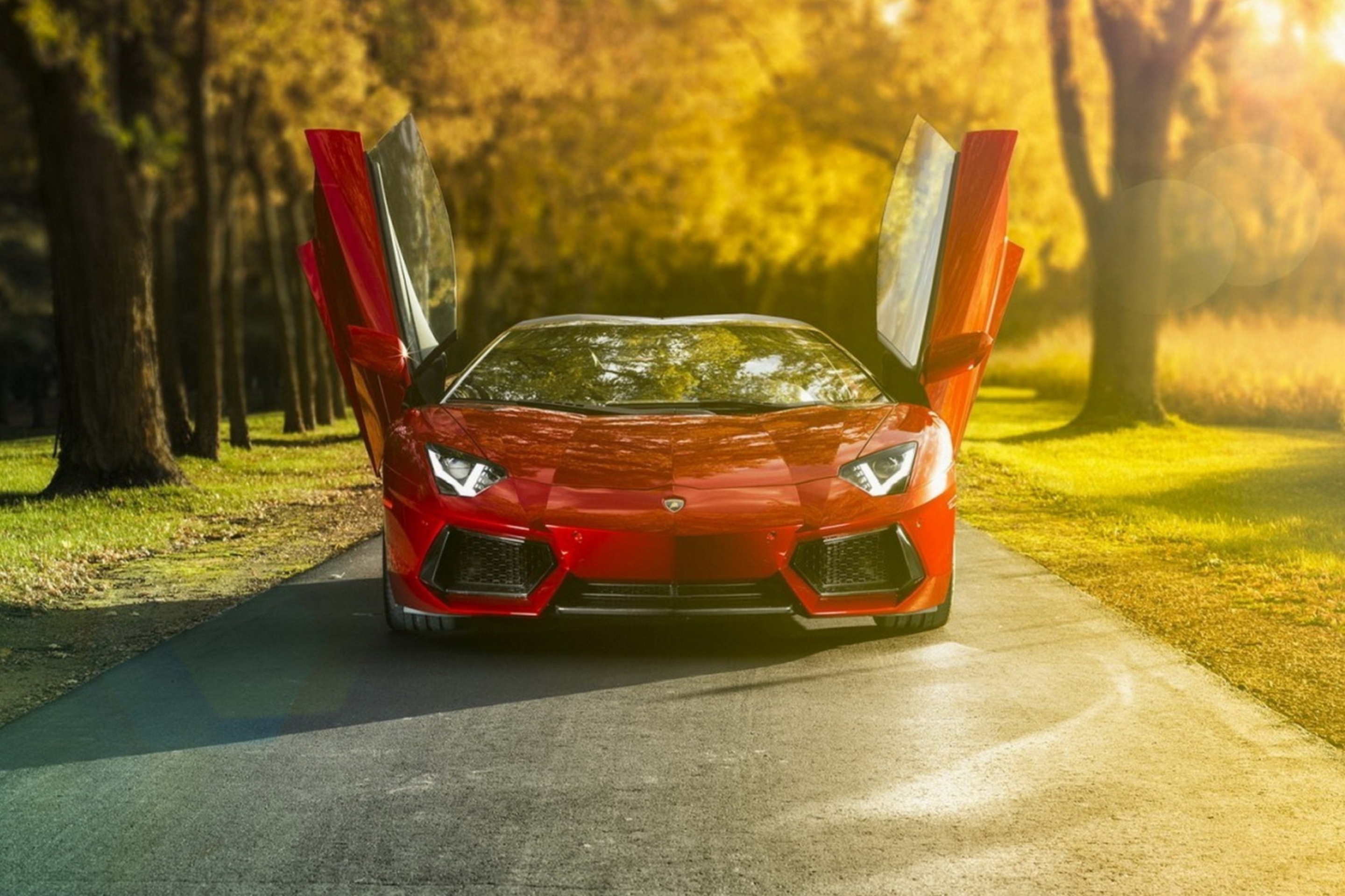 Das Lamborghini Aventador Roadster Wallpaper 2880x1920