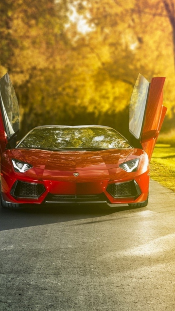 Lamborghini Aventador Roadster screenshot #1 360x640