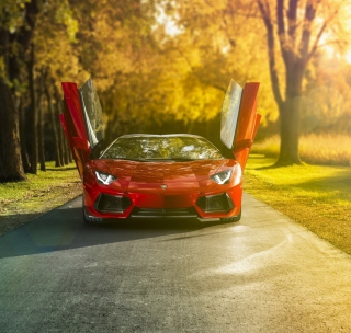 Lamborghini Aventador Roadster - Fondos de pantalla gratis para iPad 2